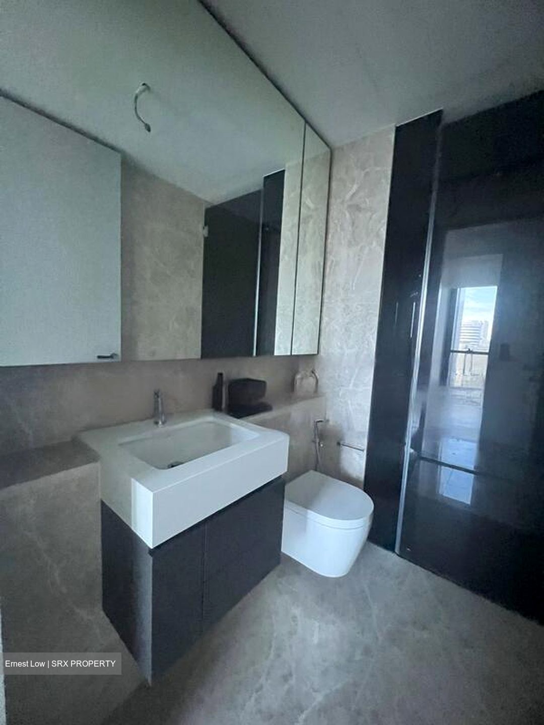 Riviere  (D3), Condominium #459399081